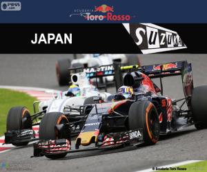 пазл Карлос Сайнс-мл., Гран-при Японии 2016